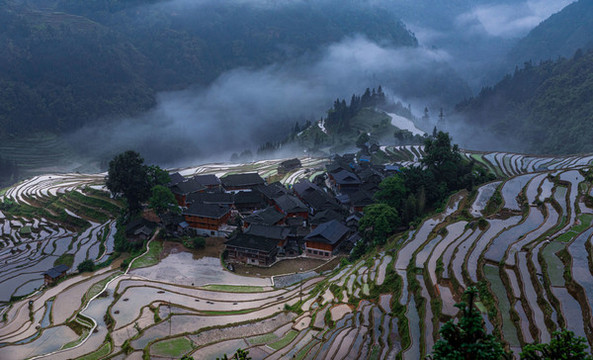 灌水期的貴州加榜梯田景色