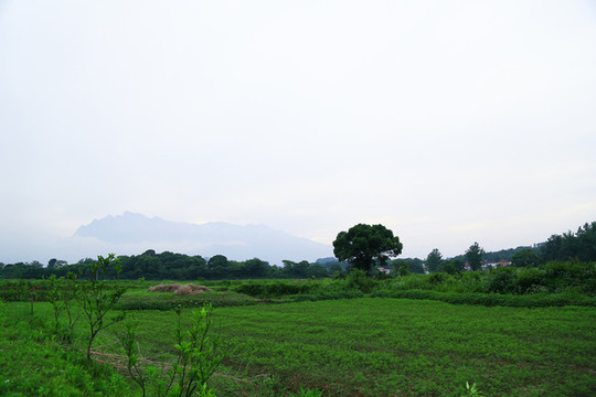 田園風(fēng)光