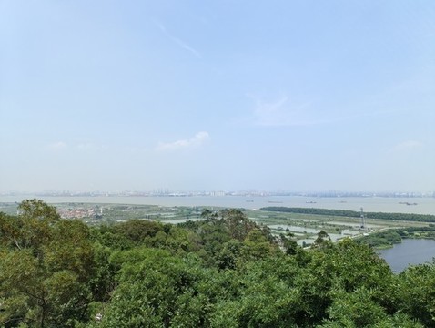 蓮花山