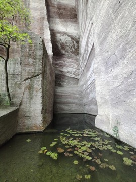 蓮花山
