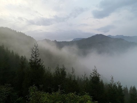 山中霧靄