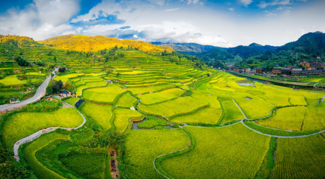 貴州西江千戶苗寨梯田風(fēng)光