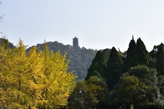 秋景