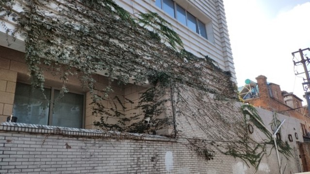街景