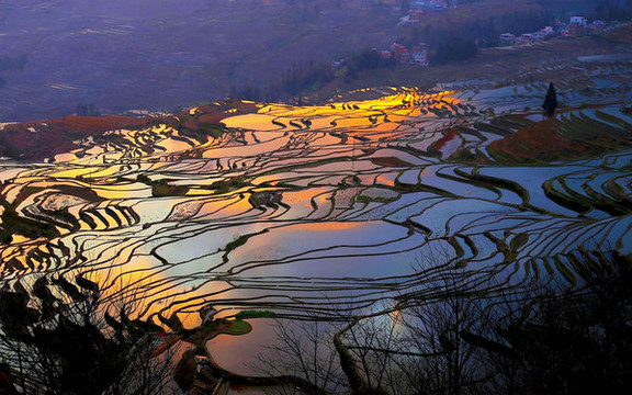 元陽(yáng)梯田