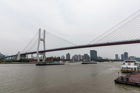 上海南浦大橋