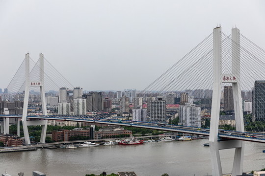 上海南浦大橋