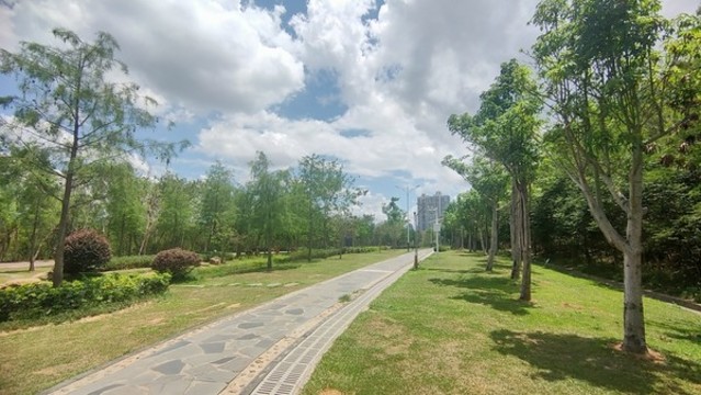 藍天白云公園綠化
