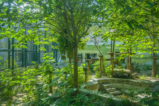 天津動(dòng)物園獅虎館