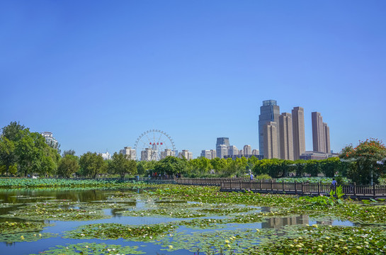 天津水上公園高清大圖