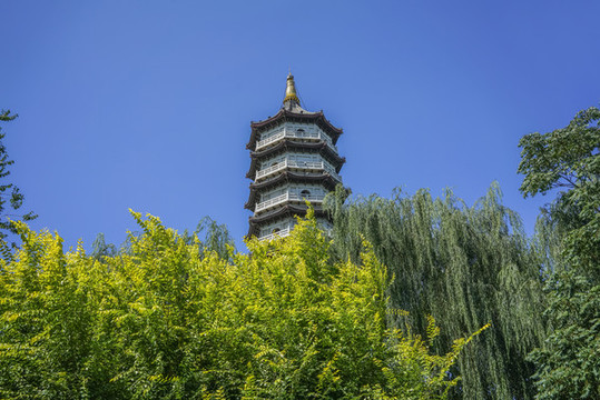 天津北寧公園高清大圖