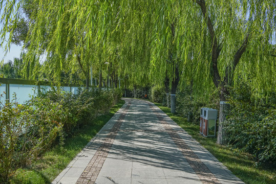 天津南翠屏公園步道