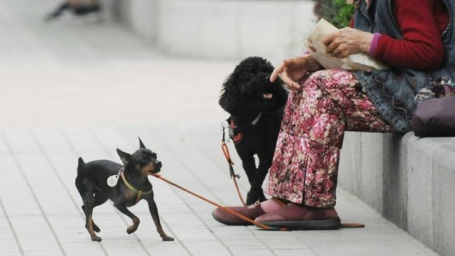 陪伴
