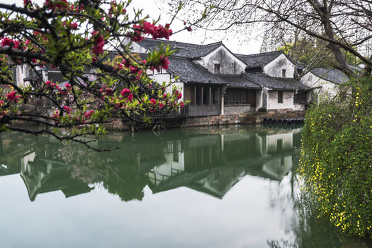 烏鎮(zhèn)春早