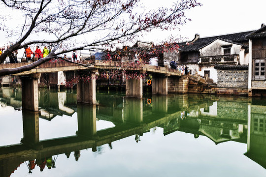 烏鎮(zhèn)春早