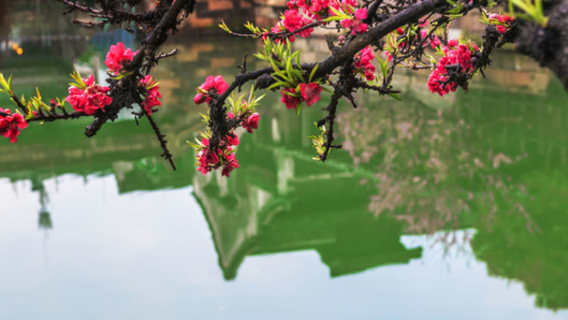 烏鎮(zhèn)春早