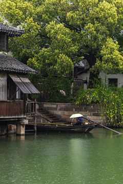 烏鎮(zhèn)春早