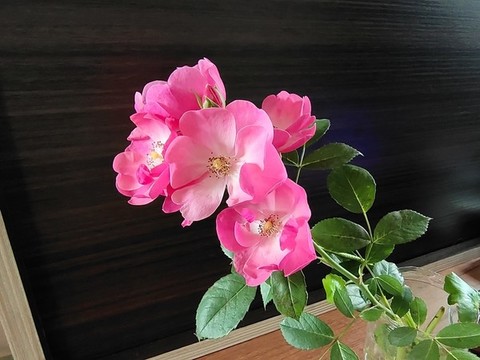 鮮花