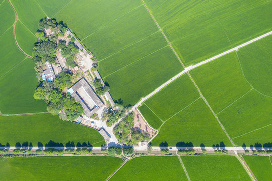 中山市田園風(fēng)光
