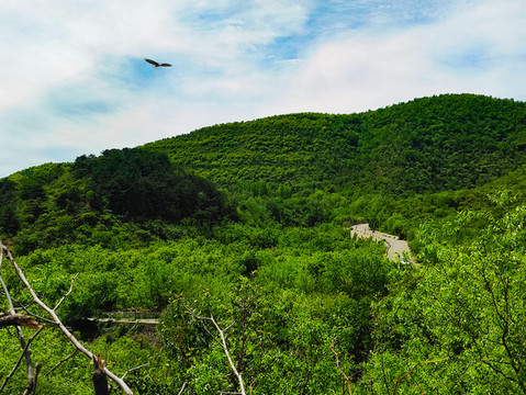 山川景觀