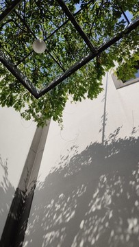 紫藤園