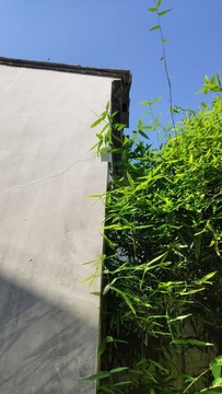 粉墻黛瓦