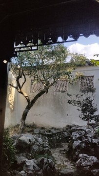 展廳外庭院