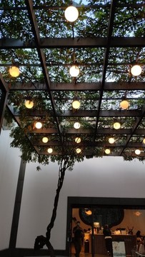 紫藤園