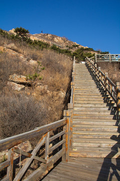登山木棧道