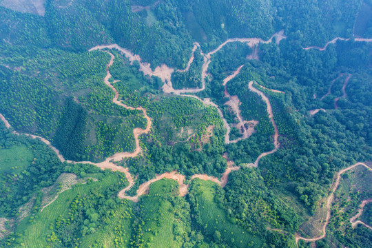 生態(tài)茶園