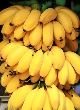香蕉