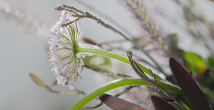 插花藝術(shù)