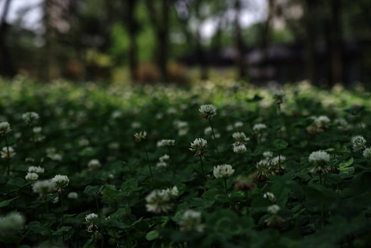 朝陽區(qū)百子灣公園