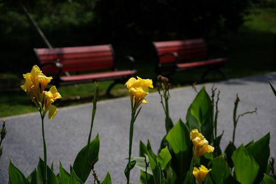 朝陽區(qū)平房公園
