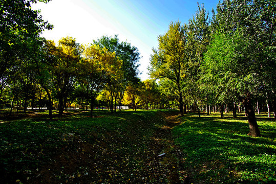 朝陽區(qū)將府公園
