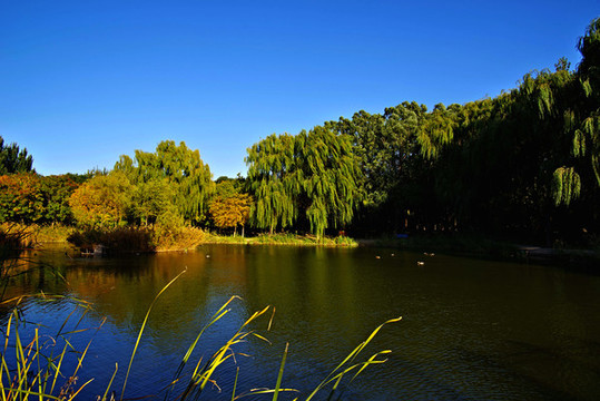 朝陽區(qū)將府公園