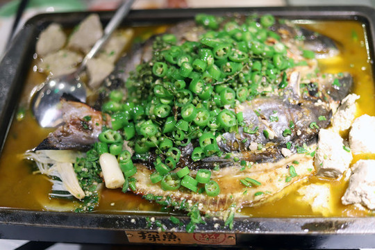 探魚