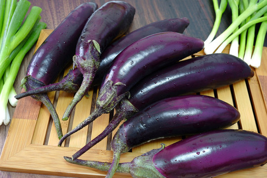紫茄子