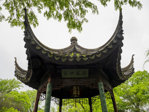 蘇州拙政園荷風(fēng)四面亭
