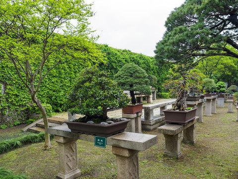 蘇州拙政園