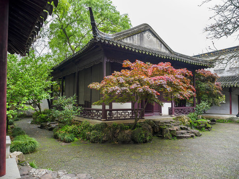 蘇州拙政園