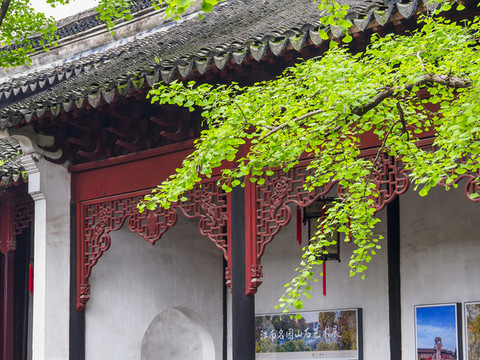 蘇州獅子林