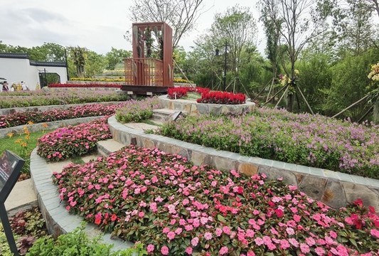 園林花卉