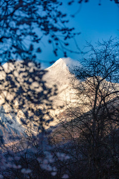 西藏南迦巴瓦峰雪山全景圖