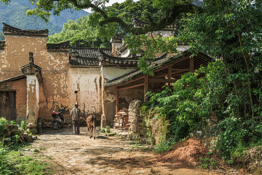 松陽后宅古村落