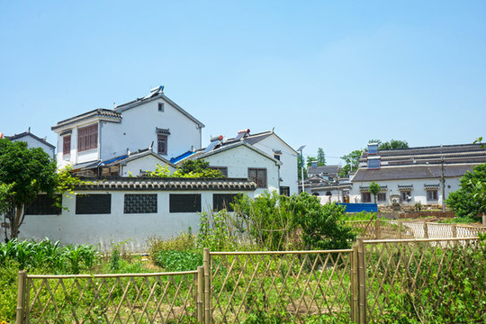 新農(nóng)村