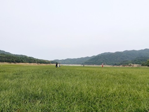 黃山洞水庫草原