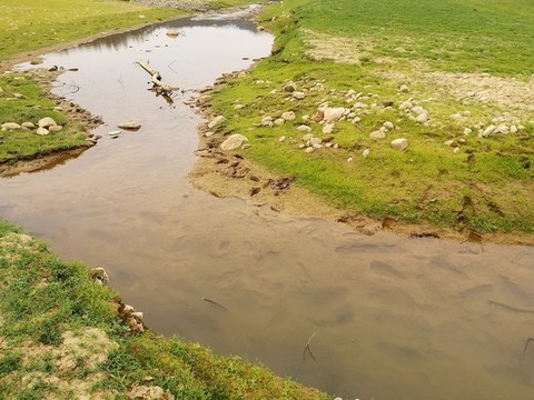 水庫濕地