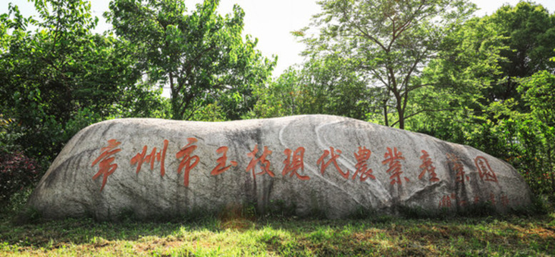 常州市玉枝現(xiàn)代農(nóng)業(yè)產(chǎn)業(yè)園