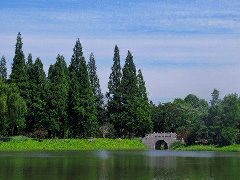 林間小橋